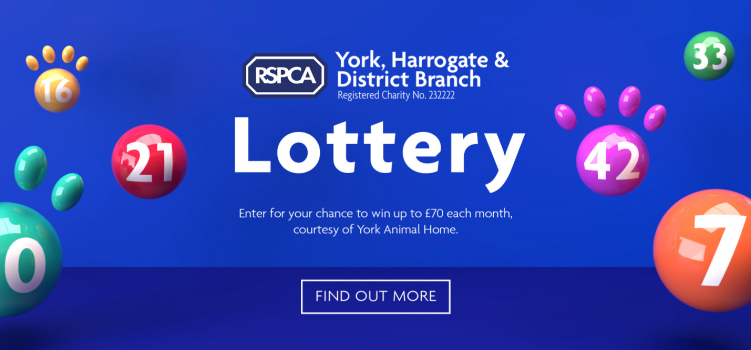 RSPCA_Lotto_Header_Banner_1_v3