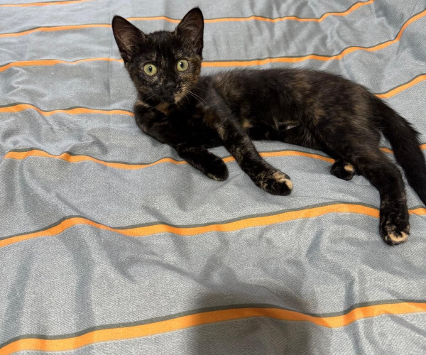 Nora (6)