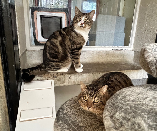 Buster & Luther (9)