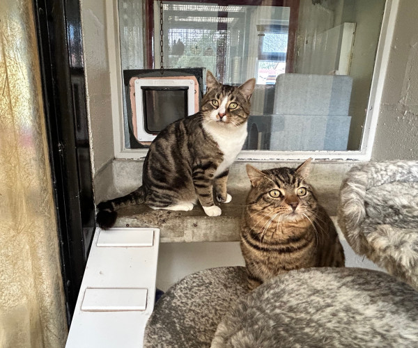 Buster & Luther (11)