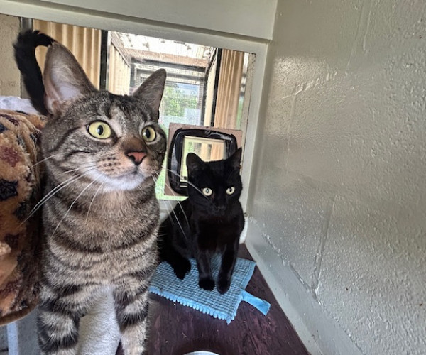 Scout & Percy (3)