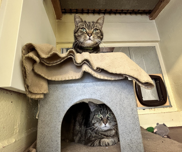 Marley & Robyn (20)