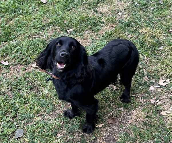 Kiki (11)