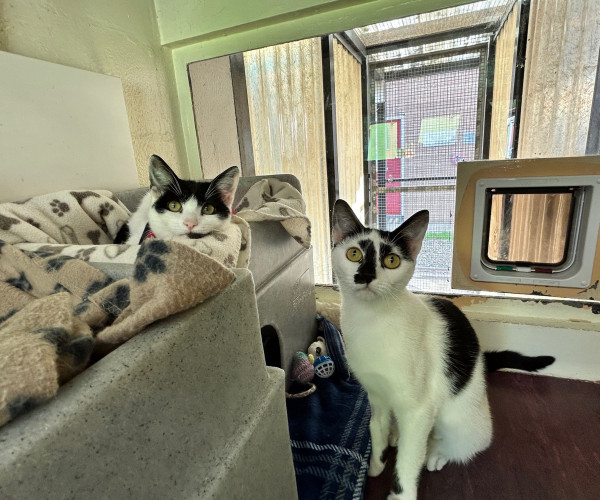 Maggie & Bertha (4)