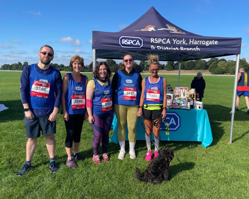 Fundraiser Run Image 1