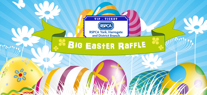 Easter Raffle Banner